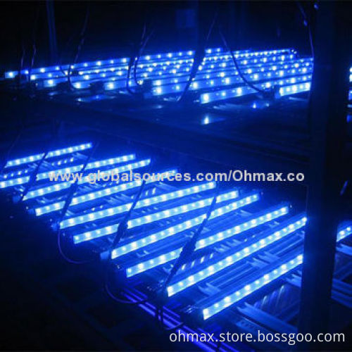 White/Blue LED Aquarium Lighting, 470nm/CCT 7,000-8,000K, IP65 for Coral Reef/Seaweed/Tropical Fish